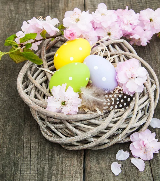 Πασχαλινά αυγά και sakura άνθος — Φωτογραφία Αρχείου
