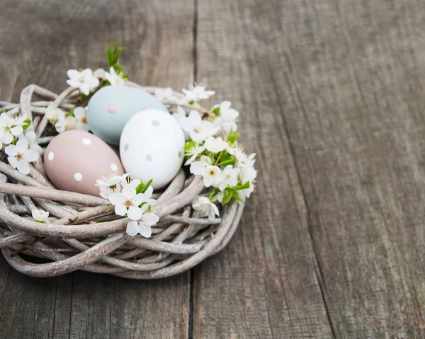 Ostereier und Frühlingsblüher — Stockfoto