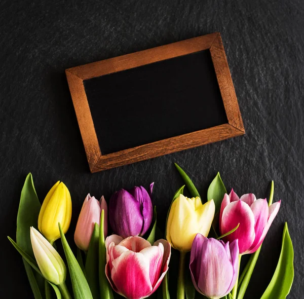 Spring tulips flowers — Stock Photo, Image