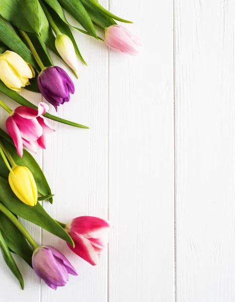 Spring tulips flowers — Stock Photo, Image