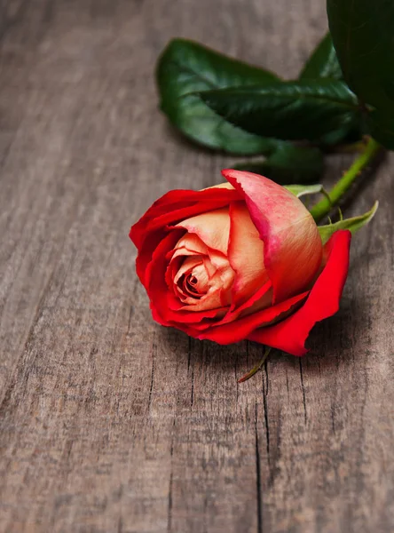 Vörös rózsa, egy fából készült asztal — Stock Fotó