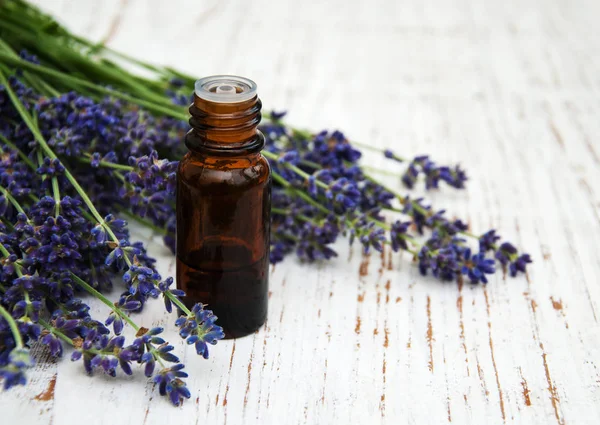 Lavender oil with fresh lavender — Stock Photo, Image