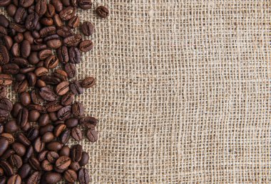 kahve çekirdekleri üzerine kaba ehlileştirmek