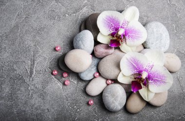 Orkide çiçekleri Spa konseptiyle