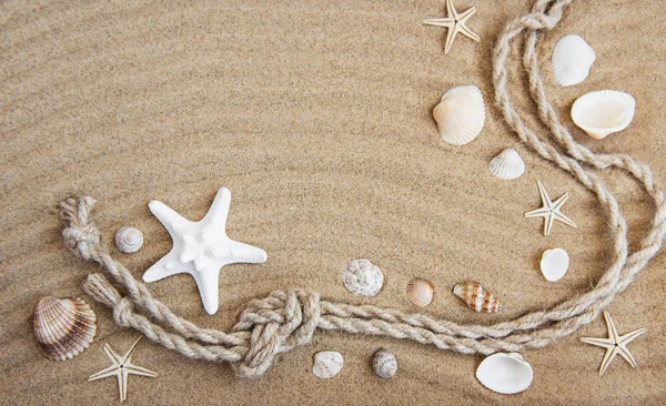 Seashells and sea decorations with rope