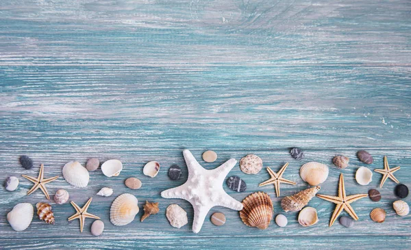 Muszle morskie na drewnianym stole — Zdjęcie stockowe