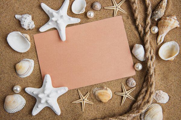 Shells, seastars and an blank postcard