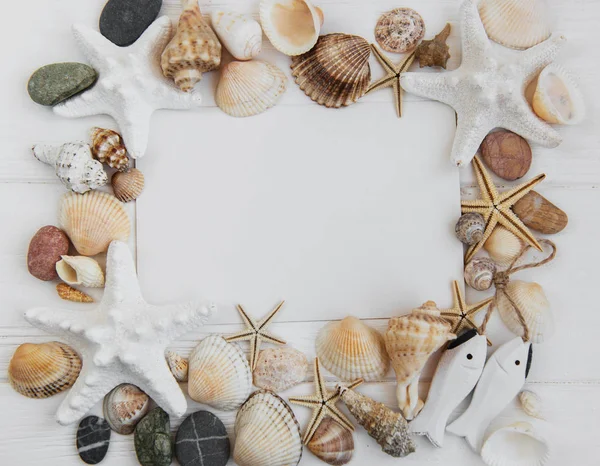 Shells, seastars and a blank postcard — Stock Photo, Image