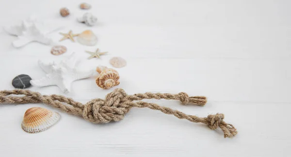 Seashells and sea decorations with rope — Stock Photo, Image