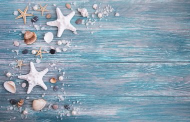 deniz tuzu ve kabukları