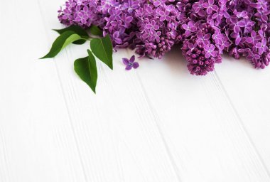 Bir masaya Lila çiçek