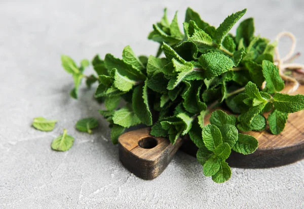 Fresh green mint — Stock Photo, Image