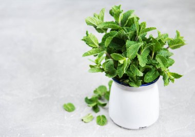 Vazo ile eski bir arka plan üzerinde taze nane