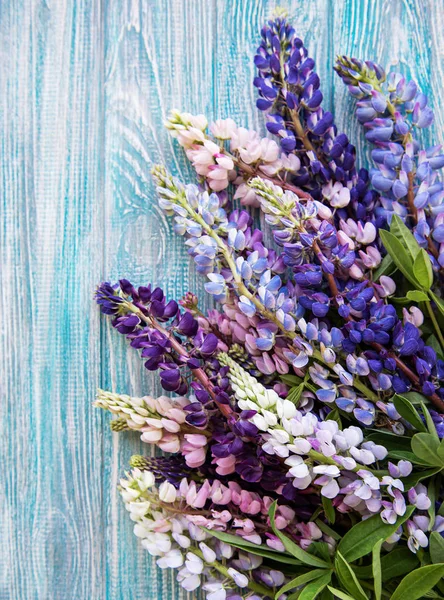 Pink and purple lupine flowers