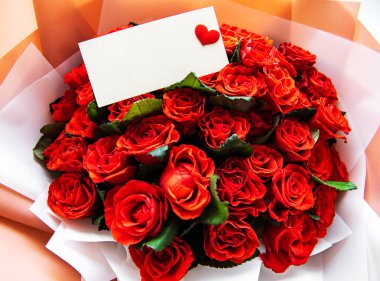 güzel kırmızı gül