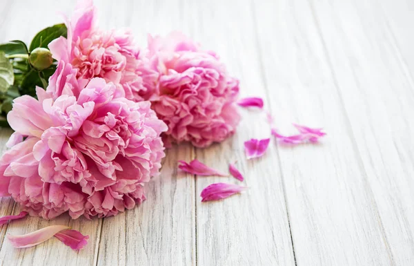 Arka plan ile peonies — Stok fotoğraf