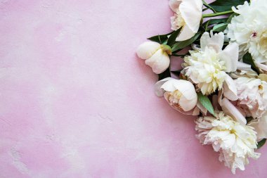 arka plan ile peonies