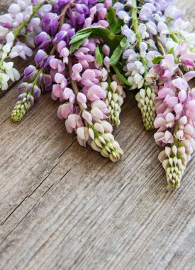 acı bakla pembe çiçekler