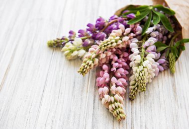 acı bakla pembe çiçekler