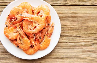 Karidesbir tabaktabaktabak tabaktabak tabaktabak tabaktabak tabaktabak tabak tabak tabak tabak tabak tabak tabak