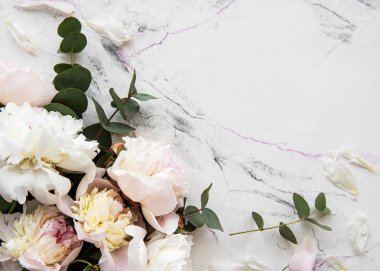pembe peonies ile arka plan