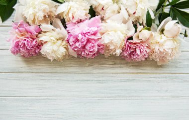 arka plan ile peonies