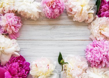 arka plan ile peonies