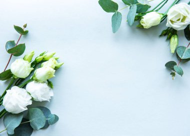 Beyaz Eustoma çiçekleri