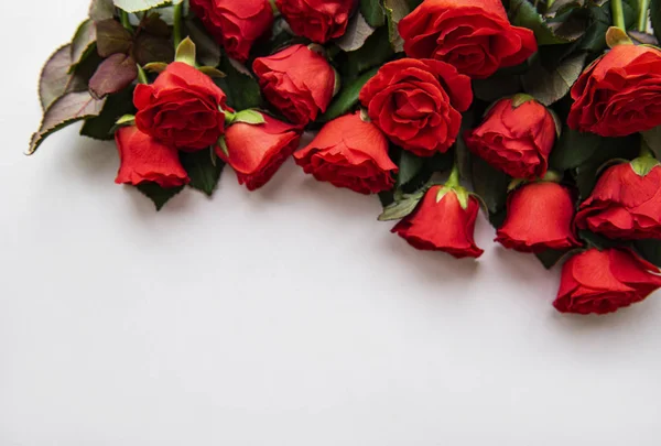 Rosas rojas sobre fondo blanco — Foto de Stock