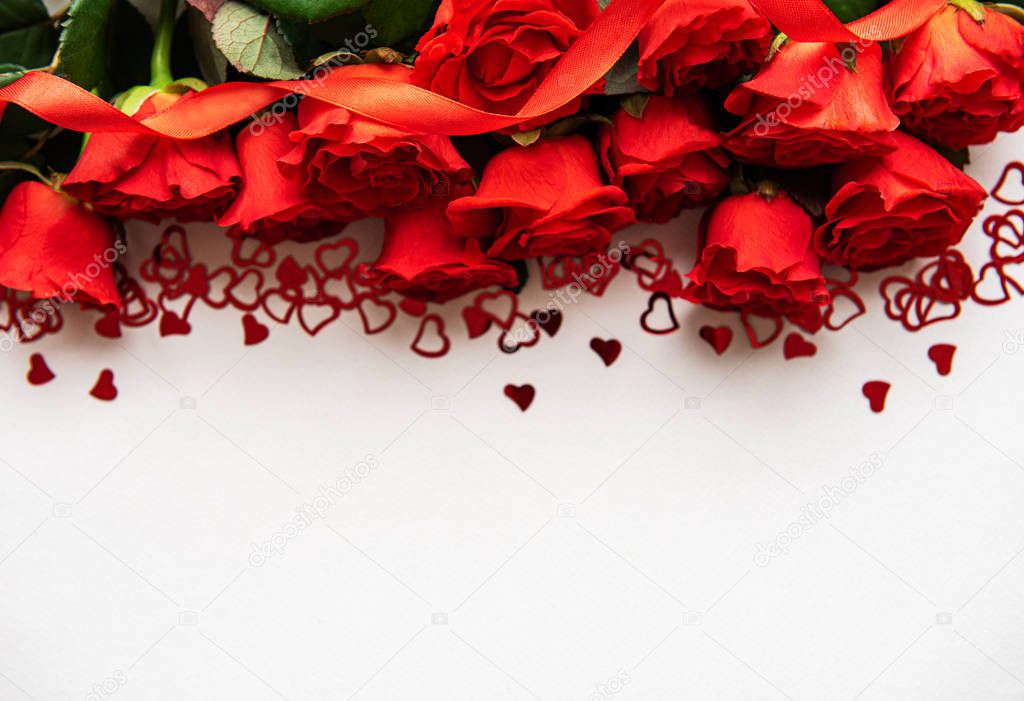 Red roses on a white background