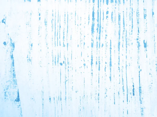 가벼운 나무판자를 배경으로 전형적 인 파란색을 띠게 되었다 — 스톡 사진