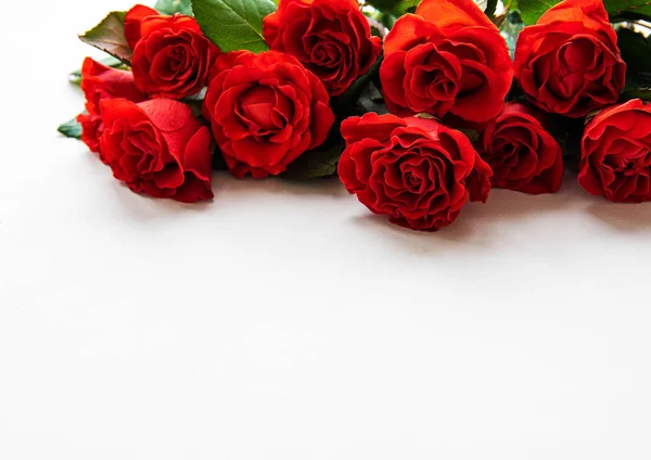 Rosas rojas sobre fondo blanco — Foto de Stock