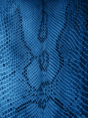 yılan derisi deseni klasik mavi tonlu