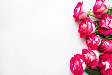 Beyaz arkaplanda kırmızı güller