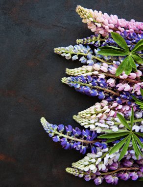 Pembe ve mor acı bakla çiçekler