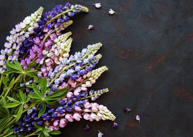 Pembe ve mor acı bakla çiçekler