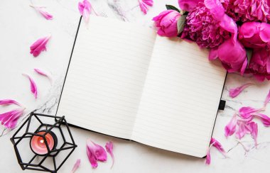 Blogger veya serbest meslek çalışma alanı