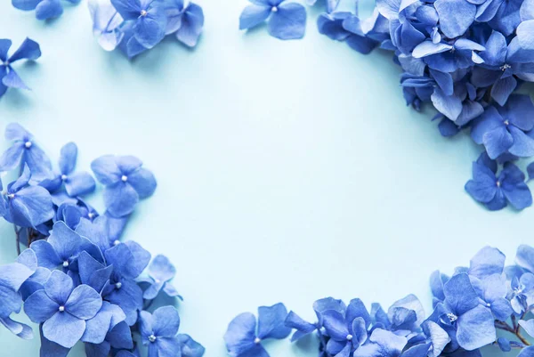 Siniset hortensiat — kuvapankkivalokuva