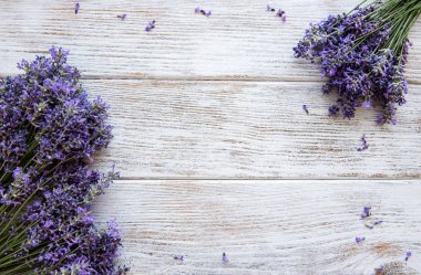 Taze lavanta çiçekleri