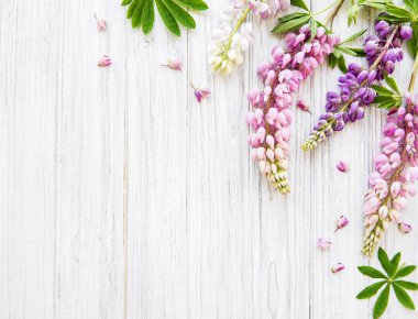 acı bakla pembe çiçekler