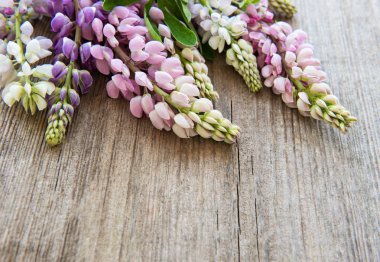 acı bakla pembe çiçekler