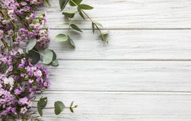 Pembe çiçekler ve okaliptüs.