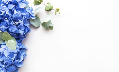 Mavi ortanca çiçekleri