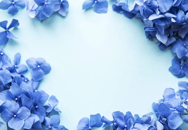 Siniset hortensiat — kuvapankkivalokuva