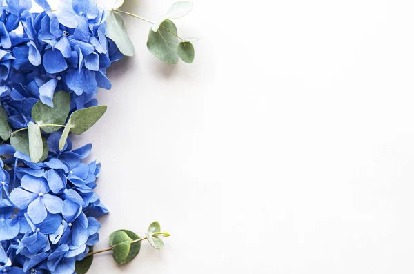 Flores de hortênsia azul — Fotografia de Stock