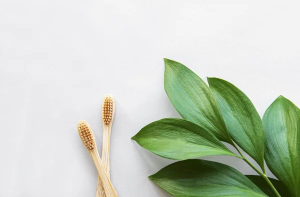 Cepillos de dientes de bambú sobre fondo blanco — Foto de Stock