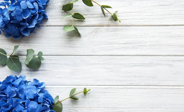Blue hydrangea flowers — Stock Photo, Image