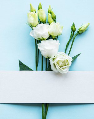 Beyaz Eustoma çiçekleri