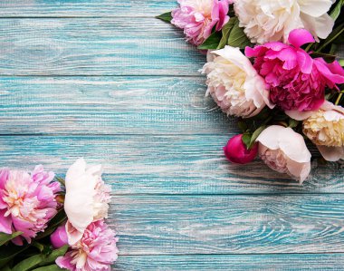 pembe peonies ile arka plan