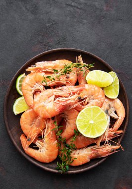 Karidesbir tabaktabaktabak tabaktabak tabaktabak tabaktabak tabaktabak tabak tabak tabak tabak tabak tabak tabak